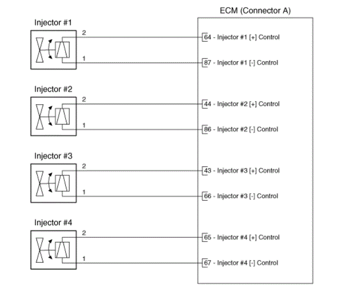G16146434