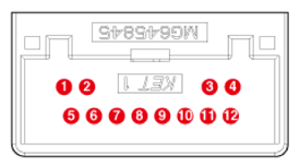G16820189