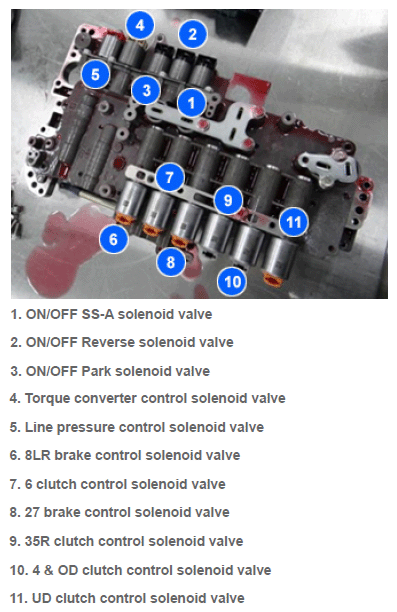 G16826656
