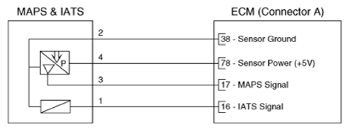 G16846907