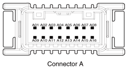 G16855697