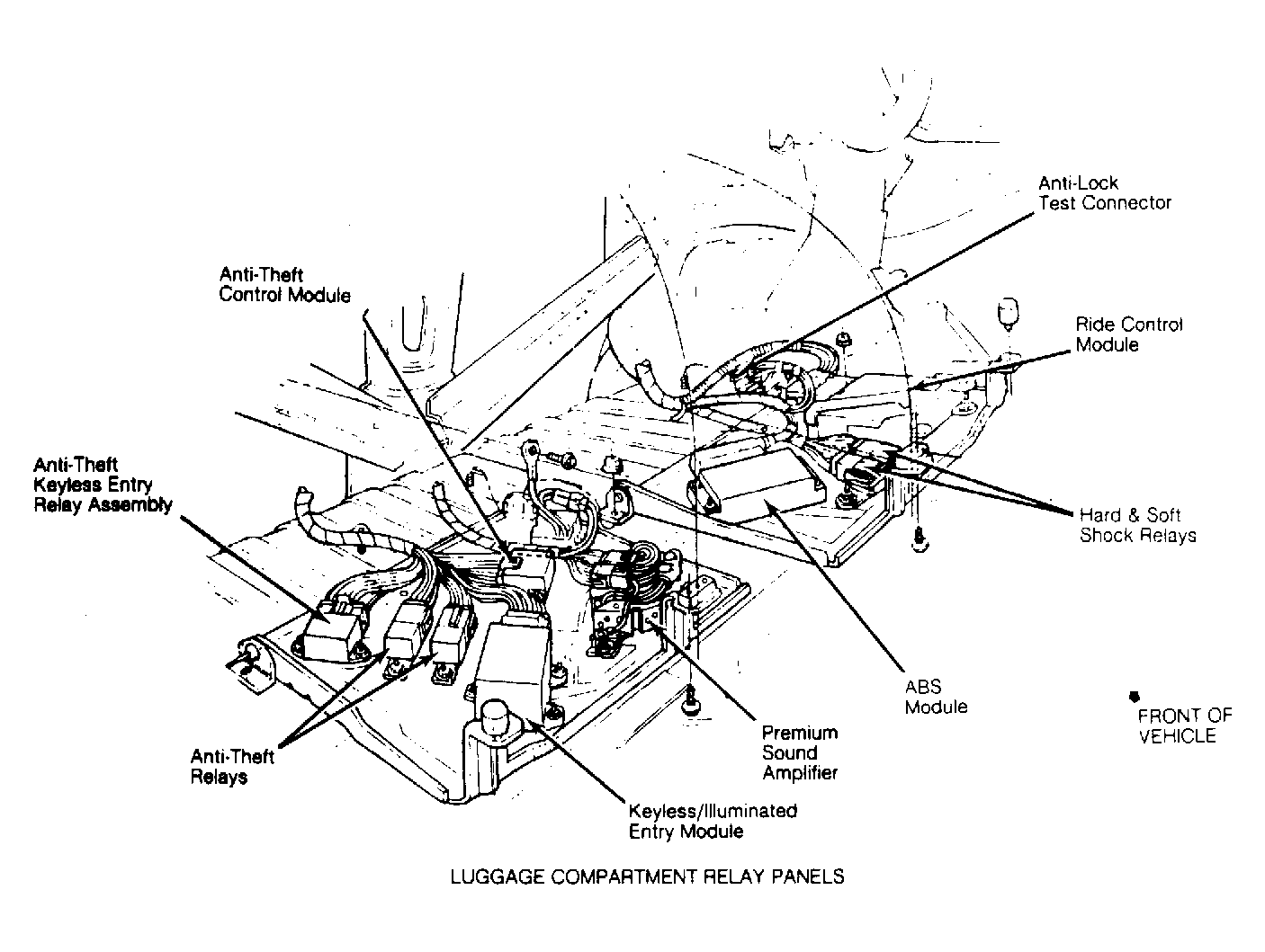 G53481