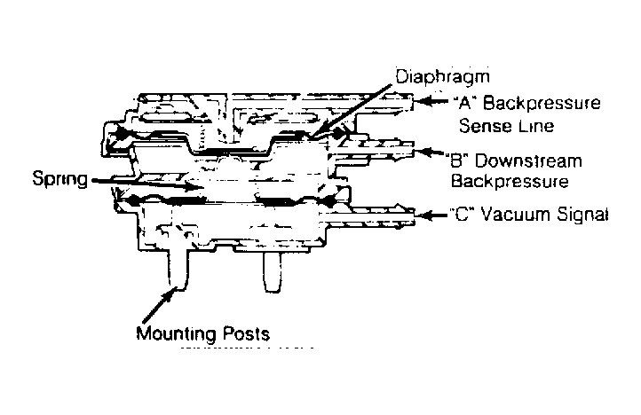 G55796