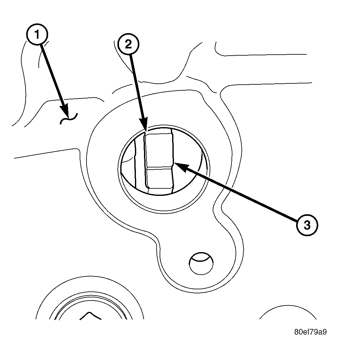 GC0006558