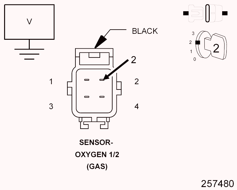 GC0099732