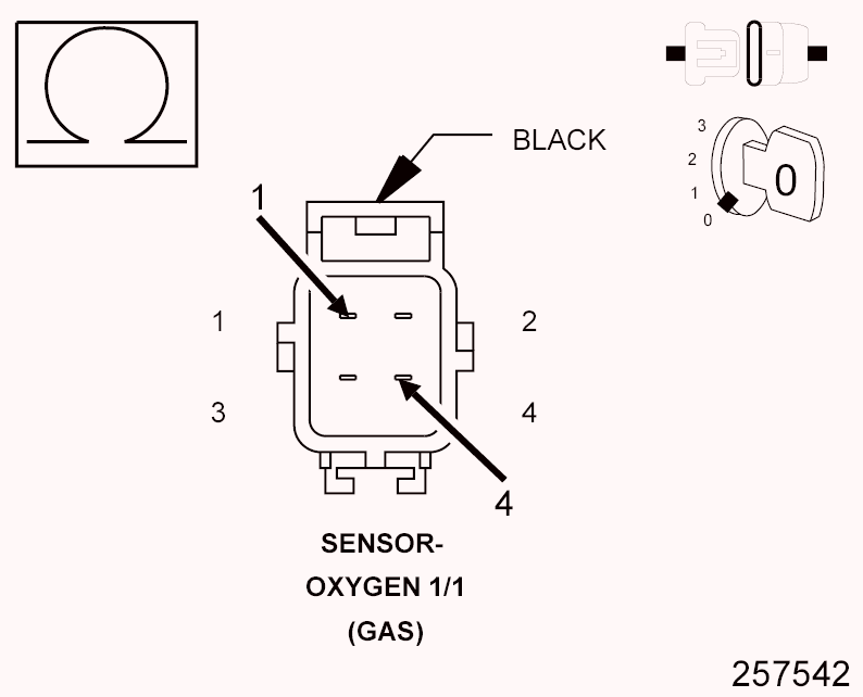 GC0099787