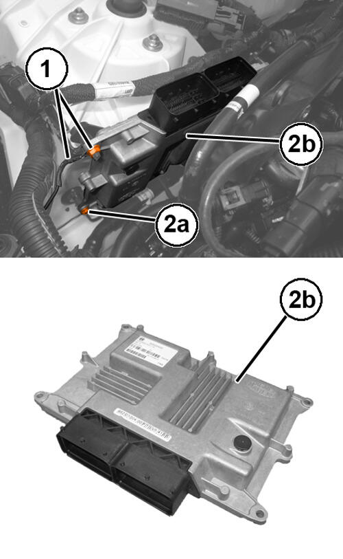 GC0198496