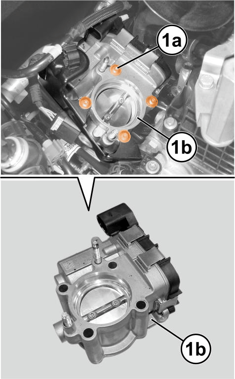 GC0208068
