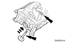 GF0011705