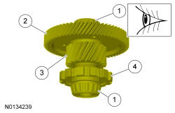 GFD231819