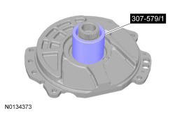 GFD231905