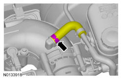 GFD91574