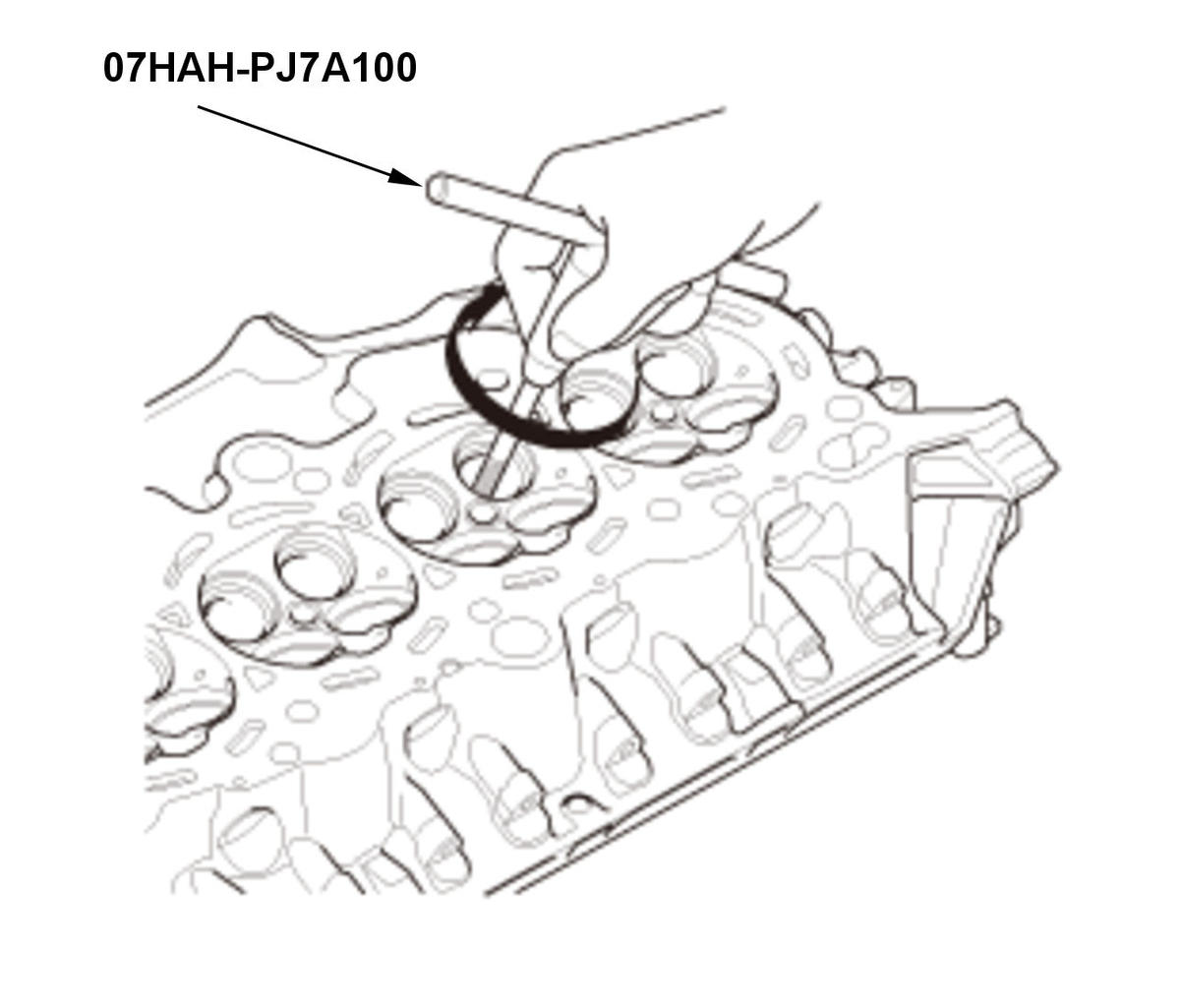 GHH406732