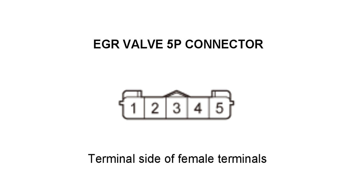 GHH434594