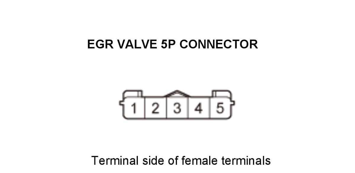 GHH434595