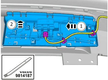 GLL1007565