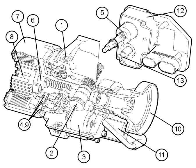 GLL107816