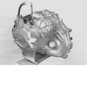 GLL109124