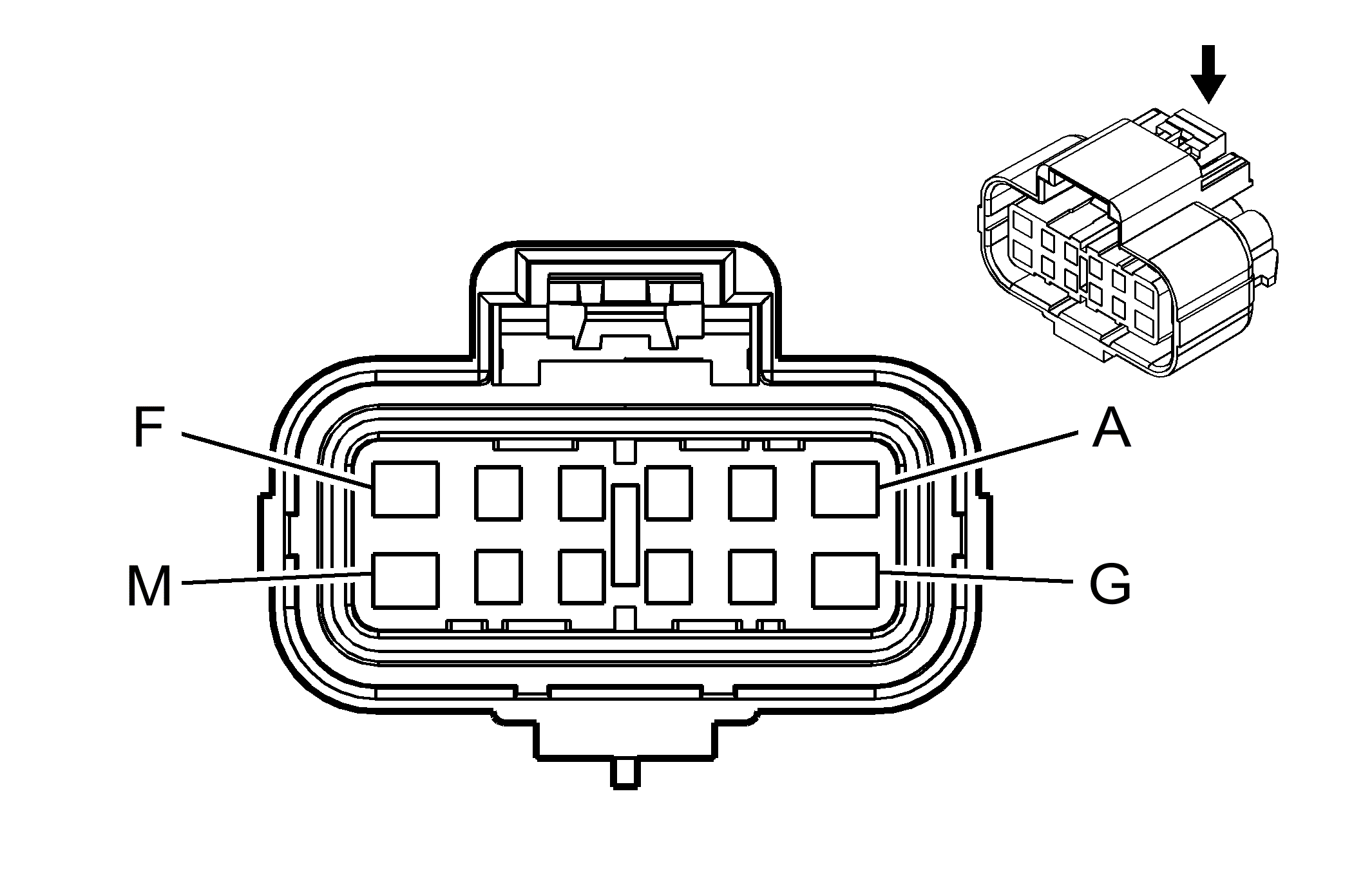 GM813079