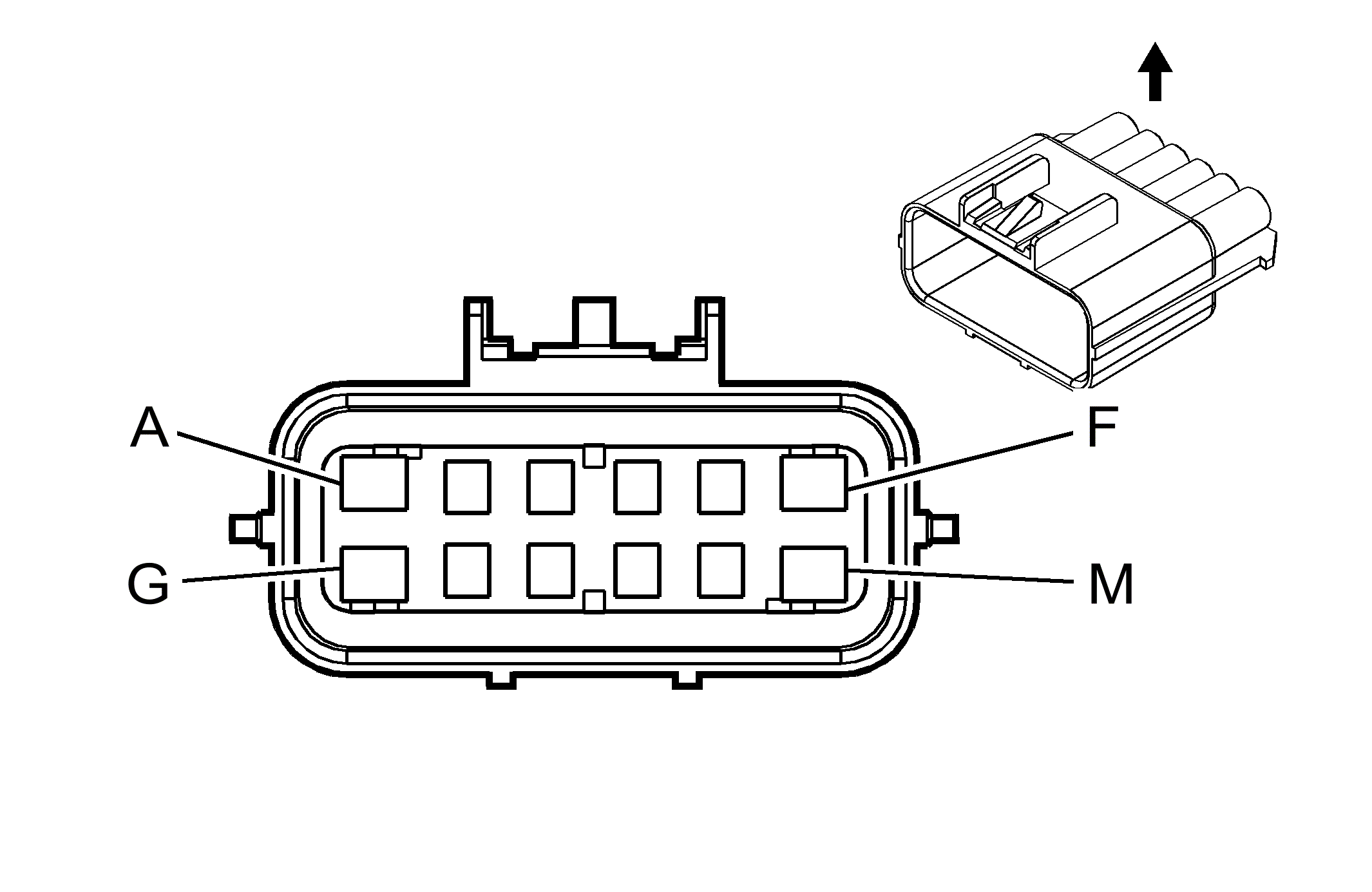 GM813080