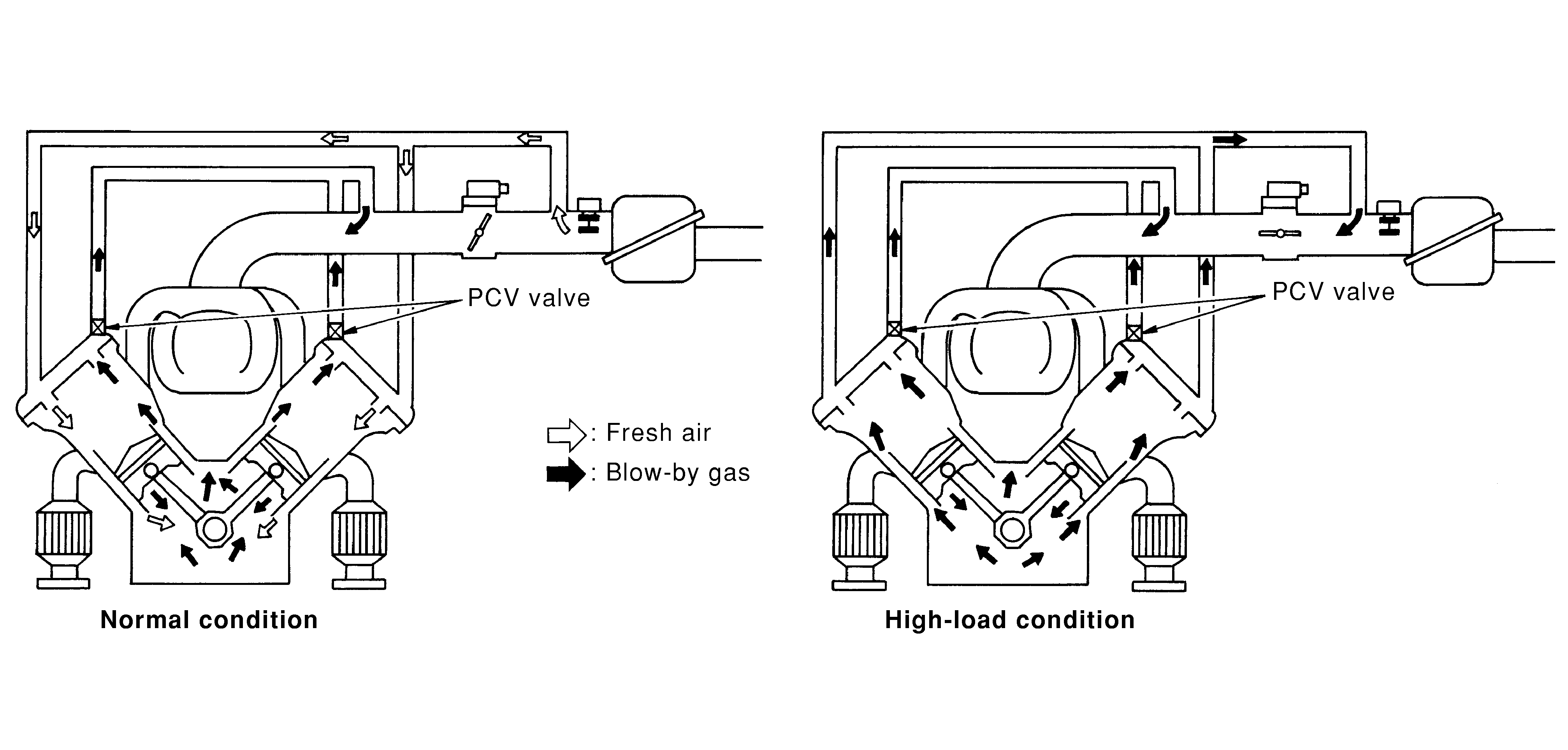 GNSDB50800