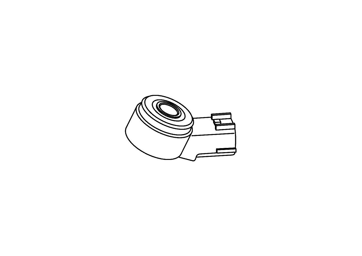 GNSJSBIB0021GB-021
