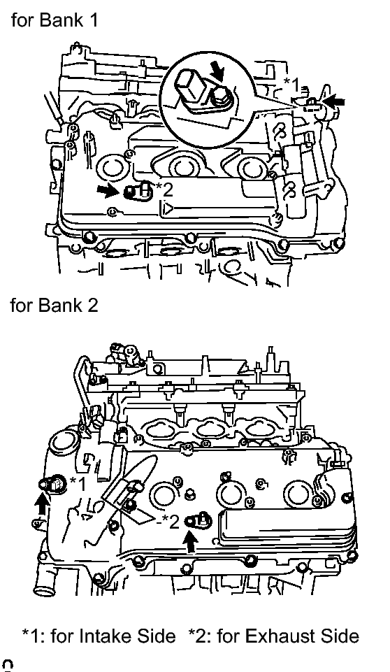 GTY235856